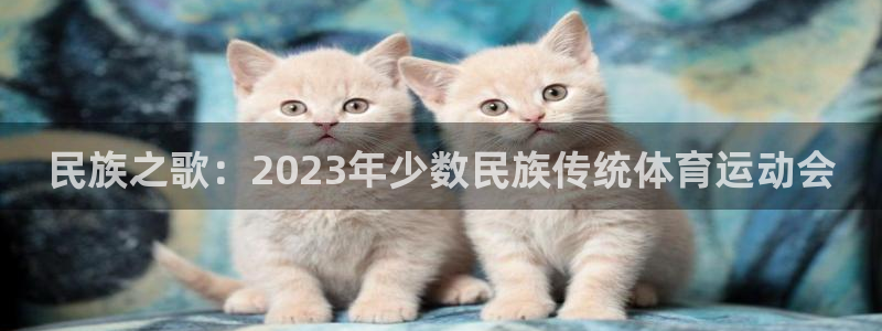 米兰体育官网下载:民族之歌:2023年少数民族传统体育运动会