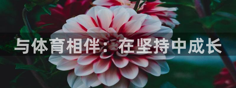 米兰体育官方正版app代理:与体育相伴:在坚持中成长