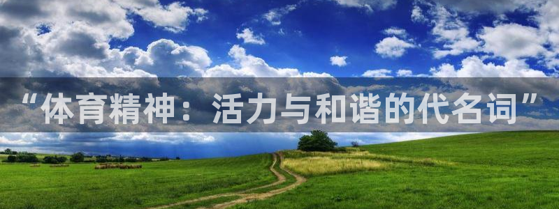 米兰体育官网下载平台是正规平台吗安全吗:“体育精神:活力与和